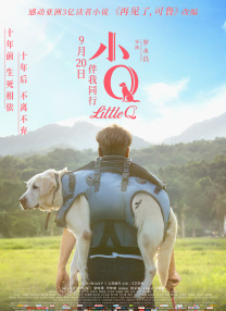 不卡中文av