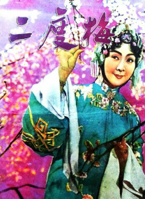 国产精品入口麻豆高清在线