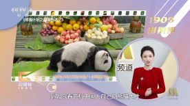 主人的下身满足的夏女